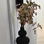 Grandma Anni's House *